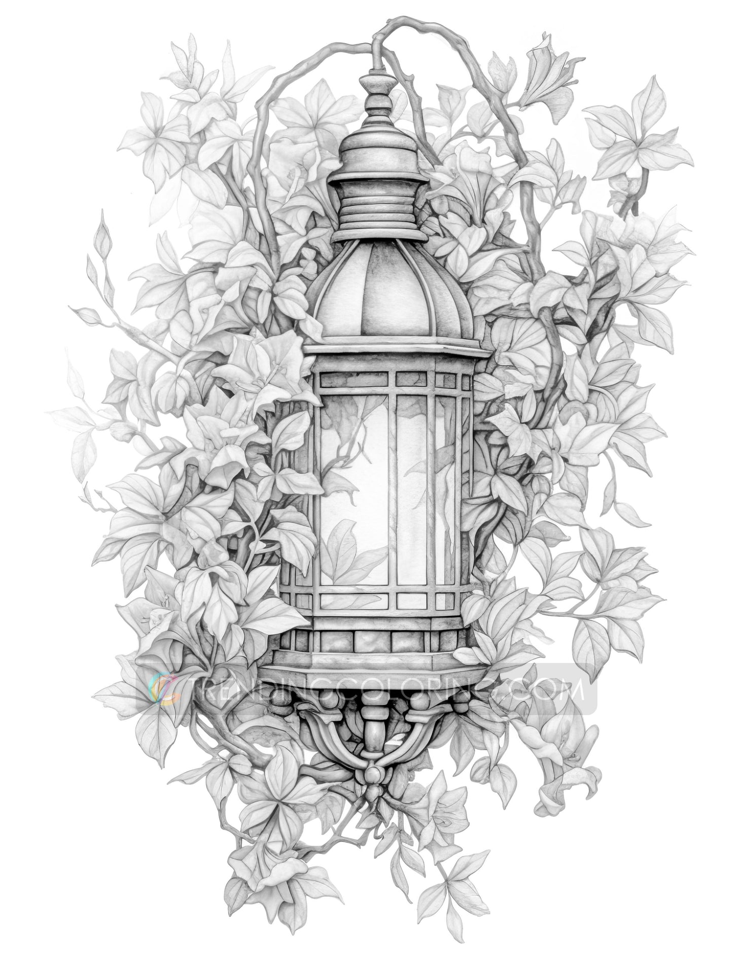 25 Cottagecore Lanterns Grayscale Coloring Pages - Instant Download - Printable PDF Dark/Light