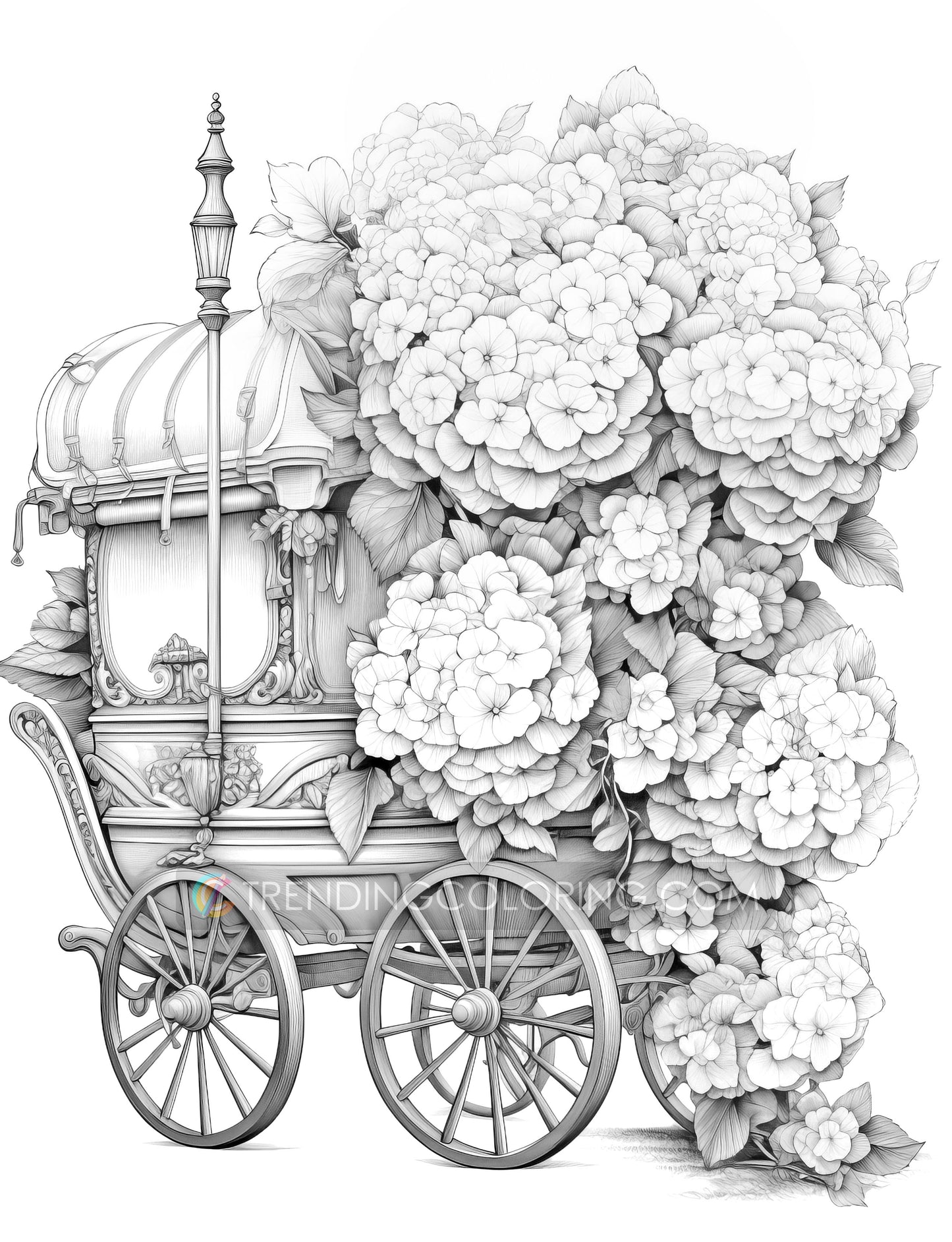 25 Floral Carriage Grayscale Coloring Pages - Instant Download, Dark/Light Illustration - Printable PDF