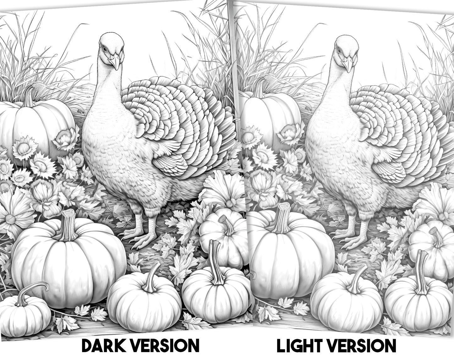 25 Fall & Thanksgiving Grayscale Coloring Pages - Instant Download - Printable PDF Dark/Light