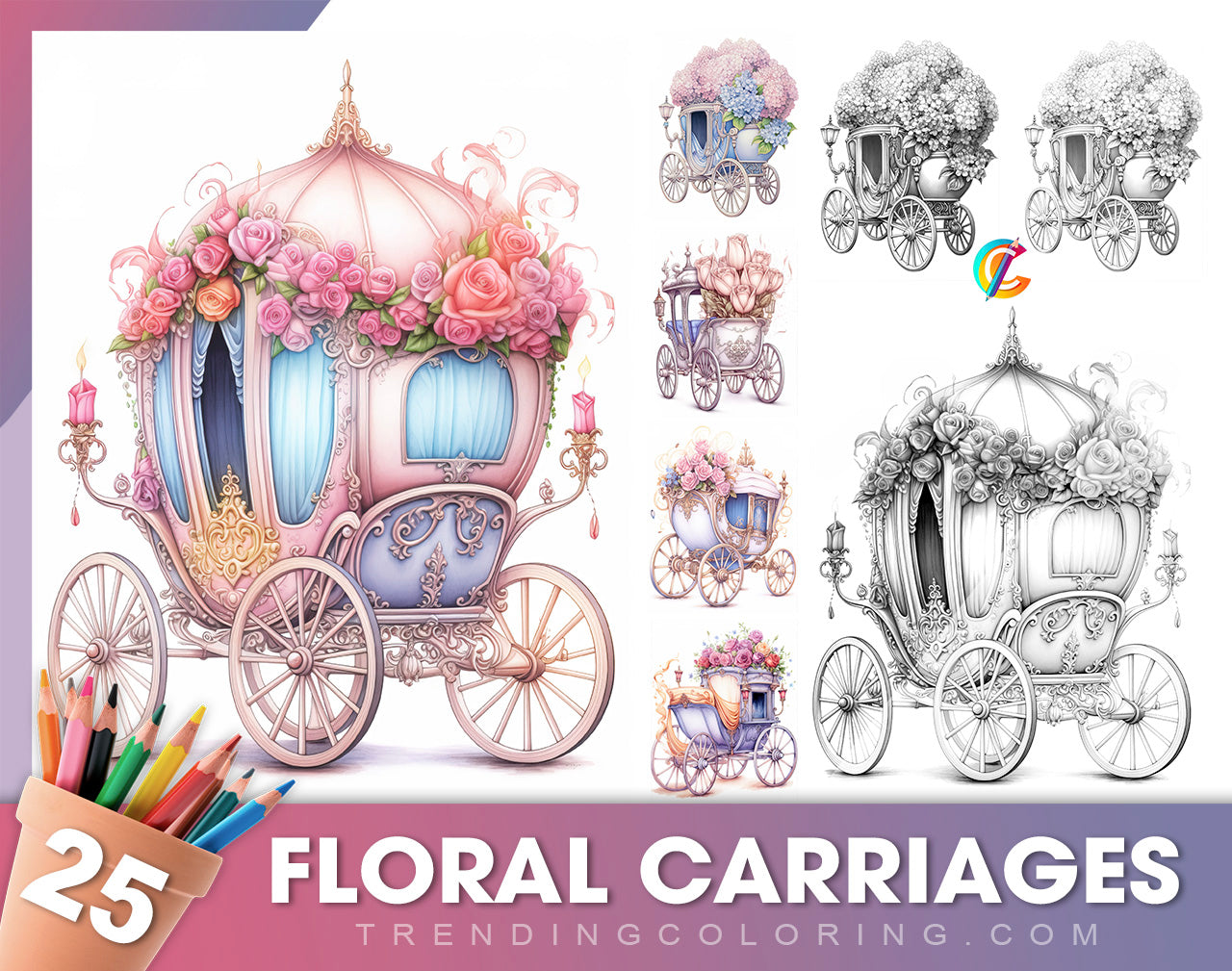 25 Floral Carriage Grayscale Coloring Pages - Instant Download, Dark/Light Illustration - Printable PDF