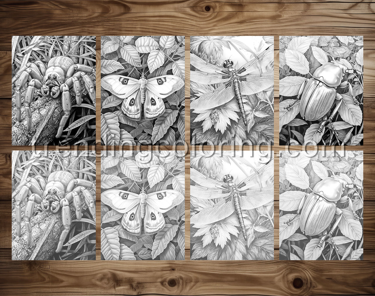 25 Insectopia Grayscale Coloring Pages  - Instant Download - Printable Dark/Light