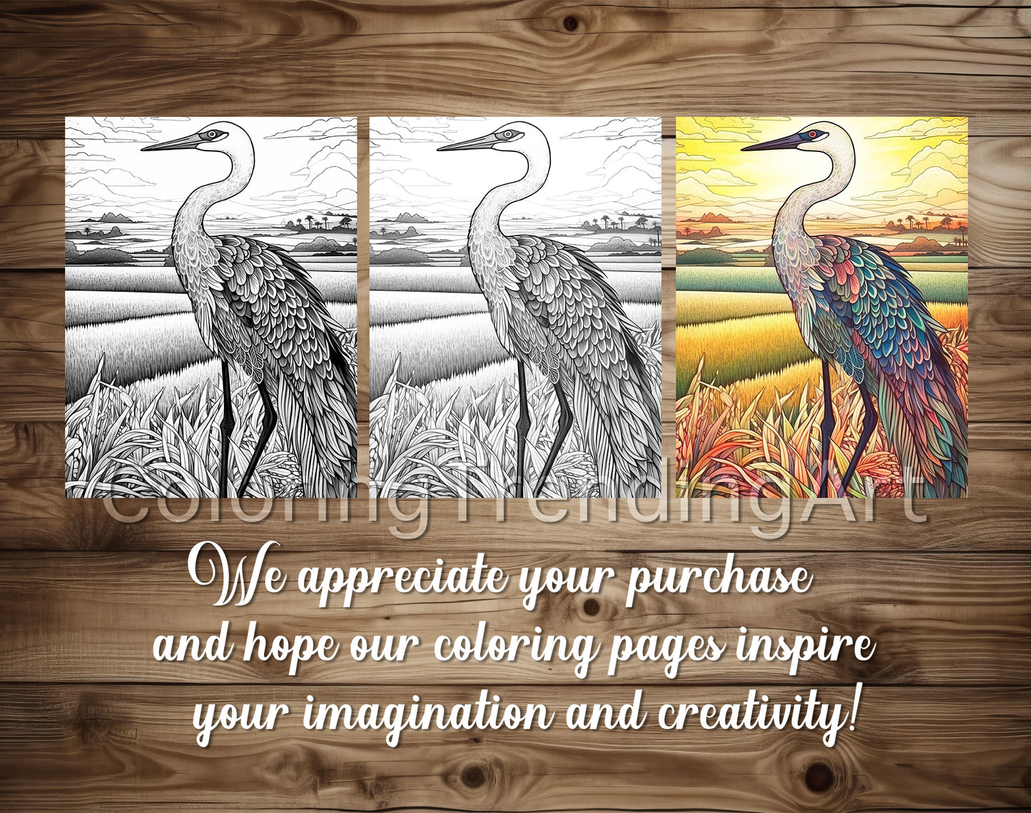 25 Amazing Birds Grayscale Coloring Pages - Instant Download - Printable PDF – preview 5