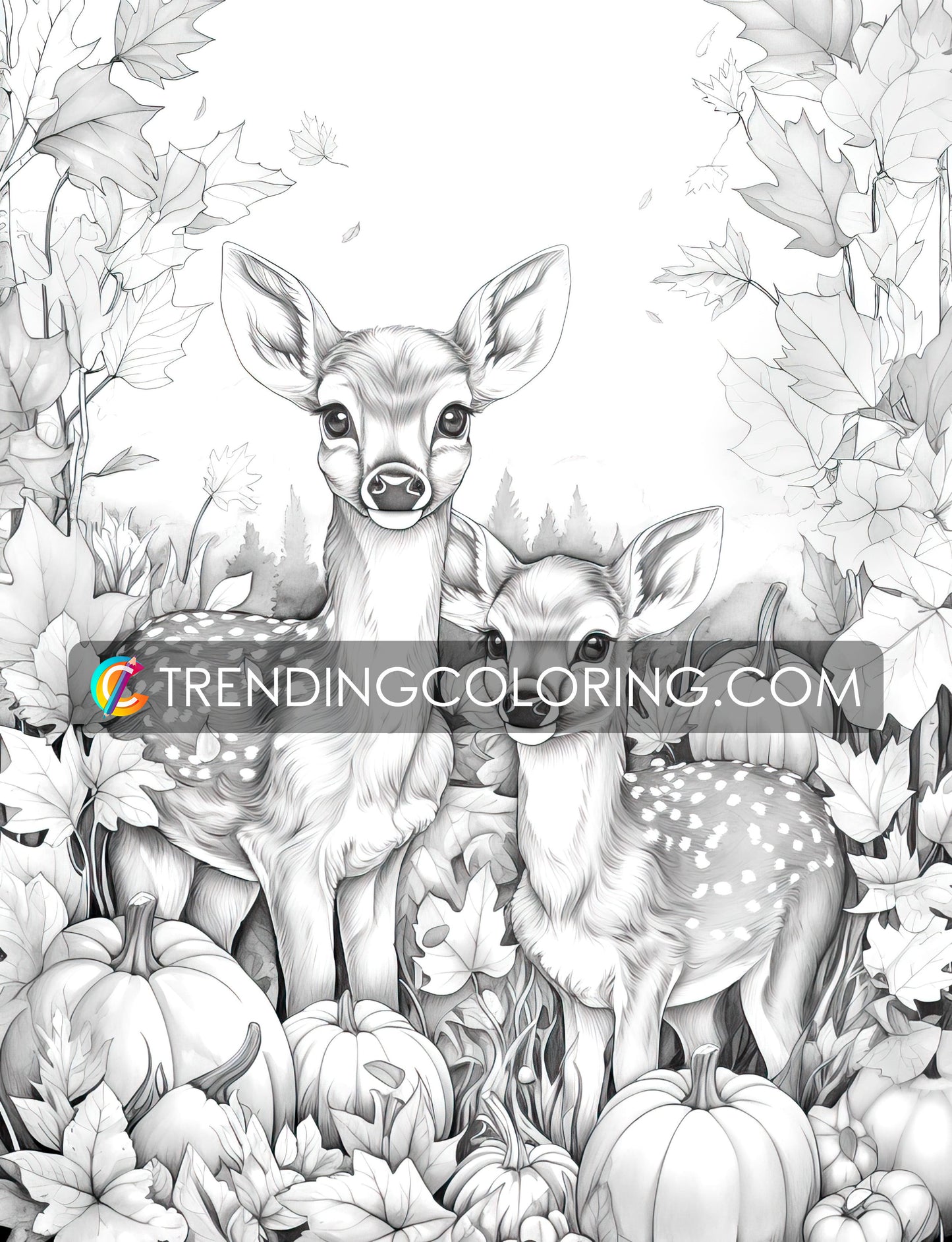 50 Autumn Critters Grayscale Coloring Pages - Instant Download - Printable PDF Dark/Light