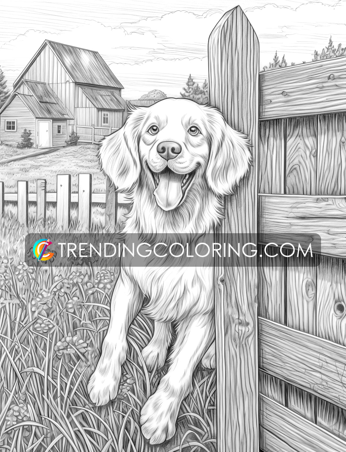 30 Country Farm Grayscale Coloring Pages - Instant Download - Printable PDF