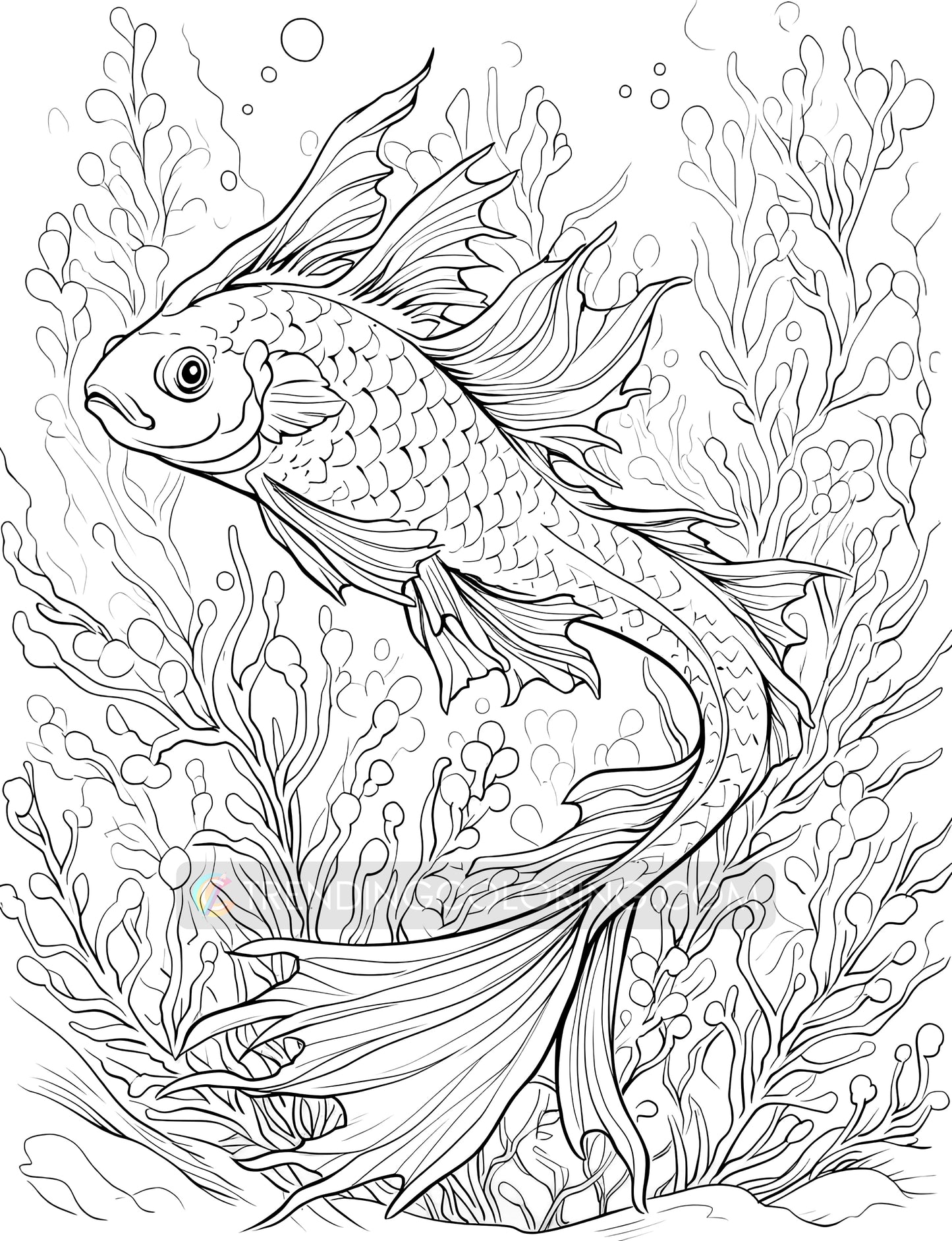 70 Fairy Animal Coloring Pages - Instant Download - Printable PDF