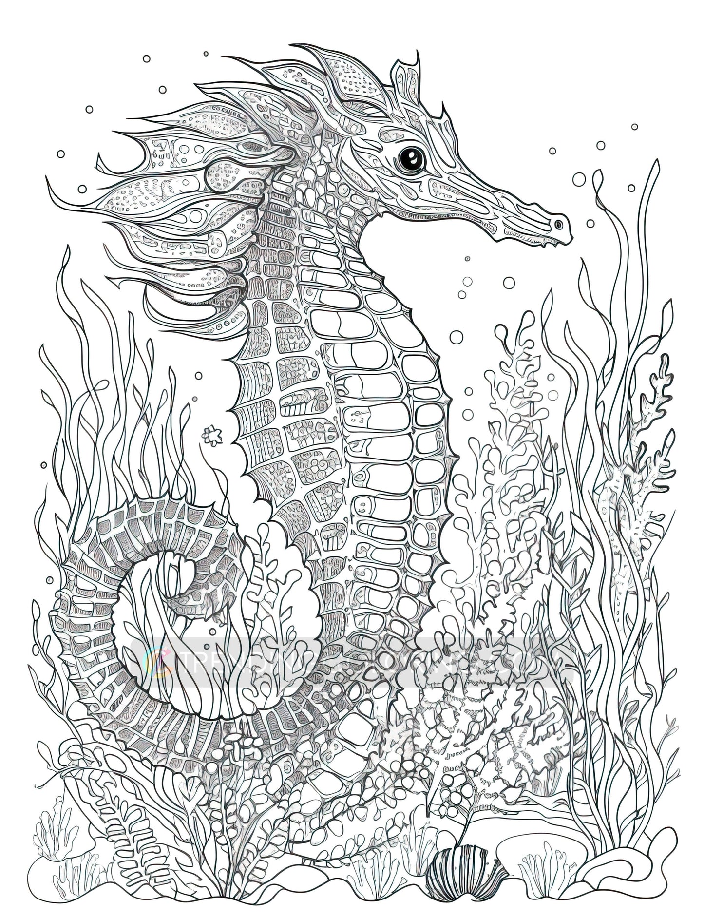 101 Amazing Animal Coloring Pages - Instant Download - Printable