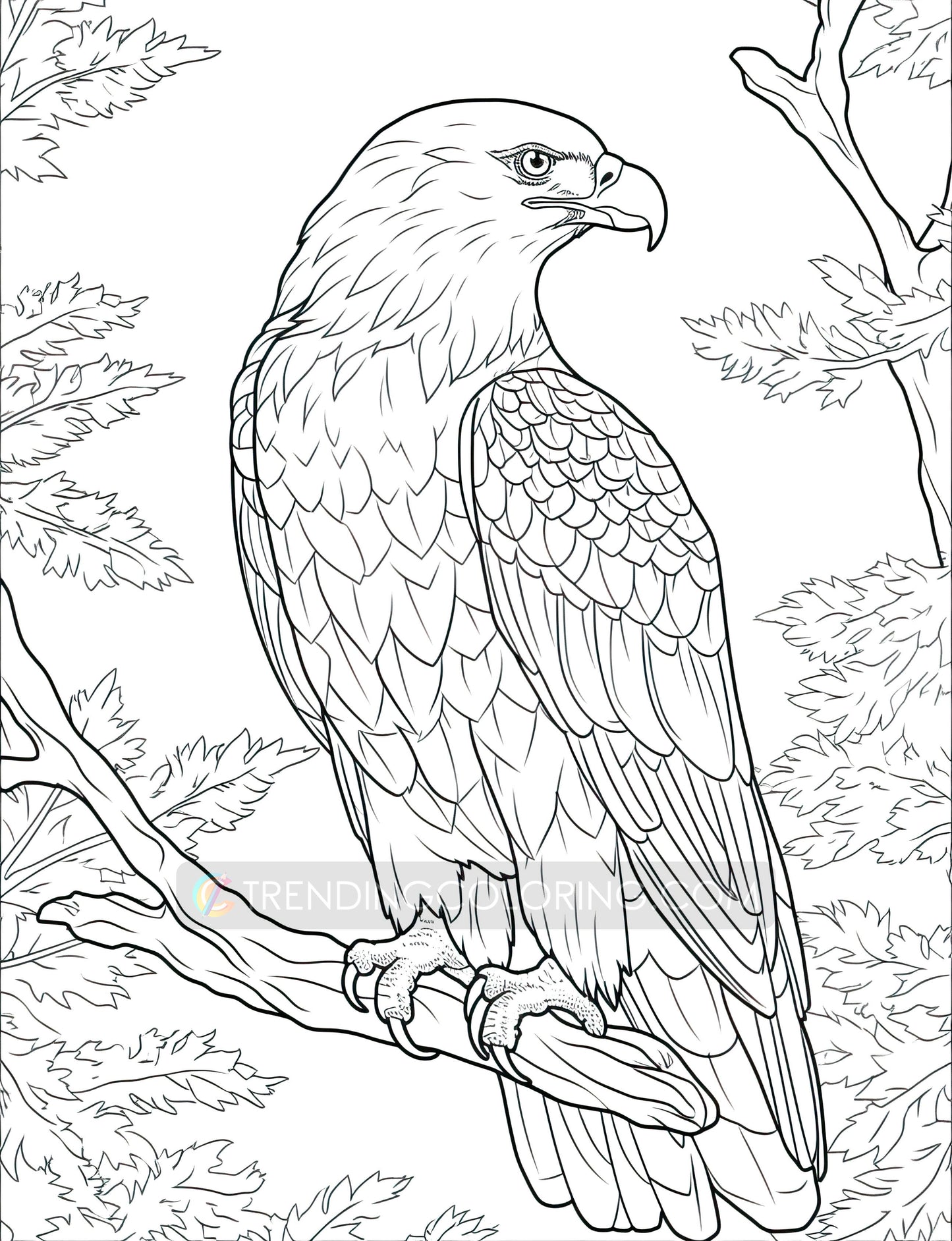 101 Amazing Animal Coloring Pages - Instant Download - Printable