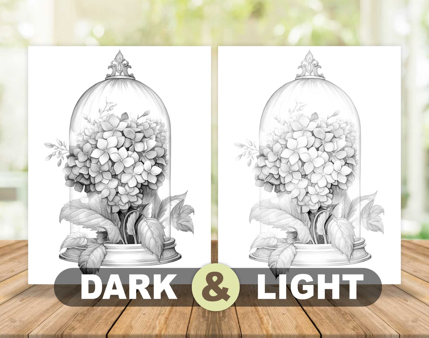 25 Flower Glass Domes Grayscale Coloring Pages- Instant Download - Printable PDF Dark/Light