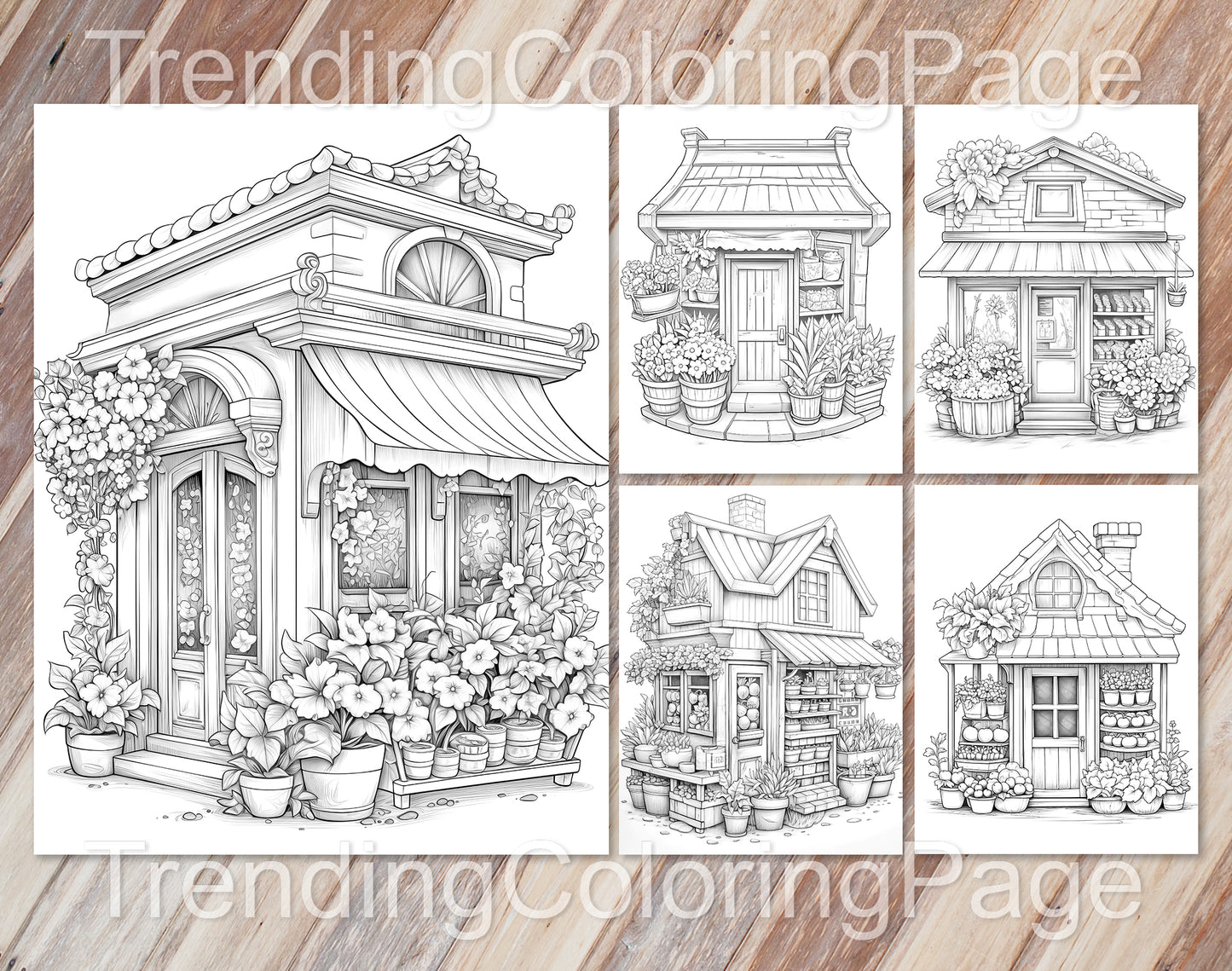 80 Adorable Storefront Grayscale Coloring Pages for Adults and Kids - Instant Download - Printable