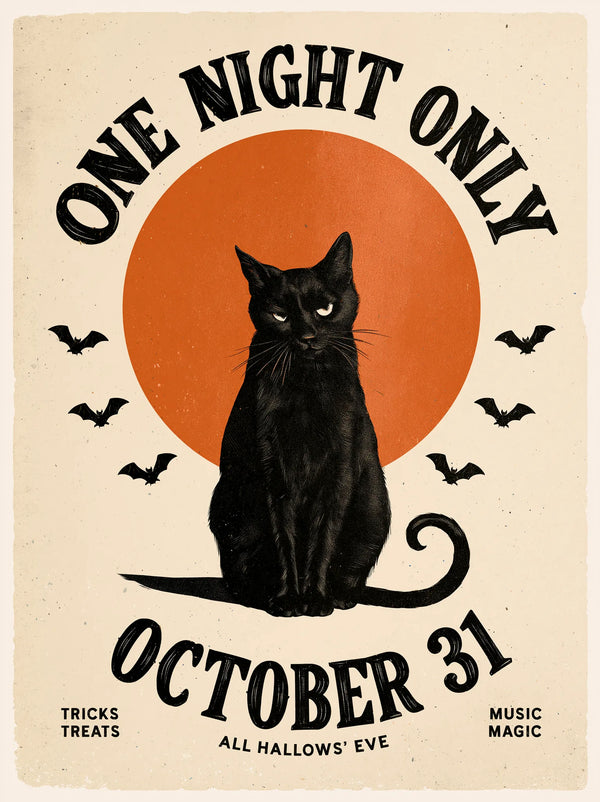 Black Cat One Night Only Wall Art Decor
