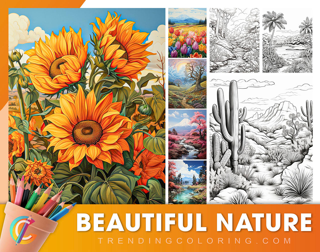 Beautiful Nature Coloring Pages