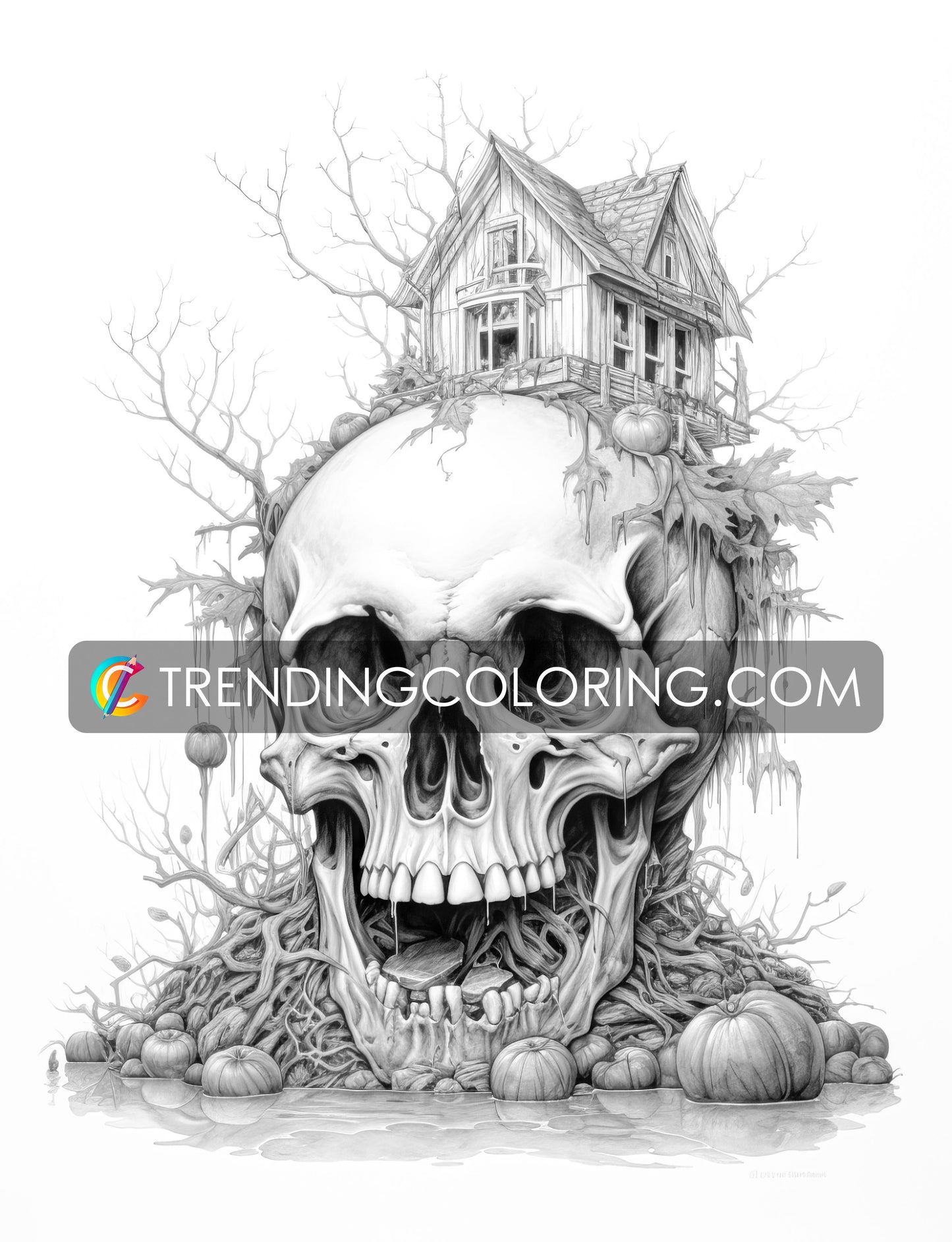 40 Skull House Grayscale Coloring Pages - Halloween Coloring - Instant Download - Printable PDF Dark/Light