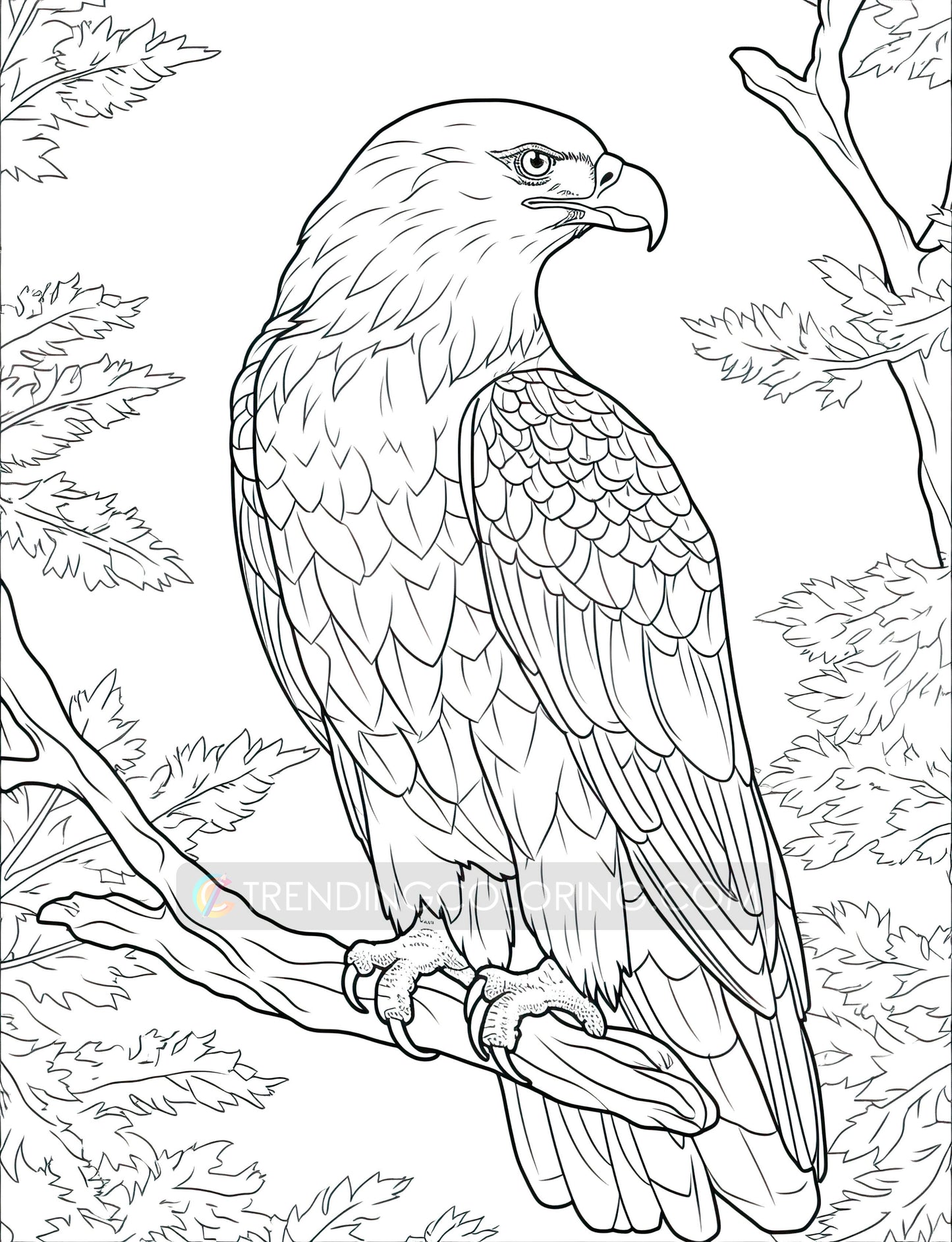 101 Amazing Animal Coloring Pages - Instant Download - Printable – preview 8