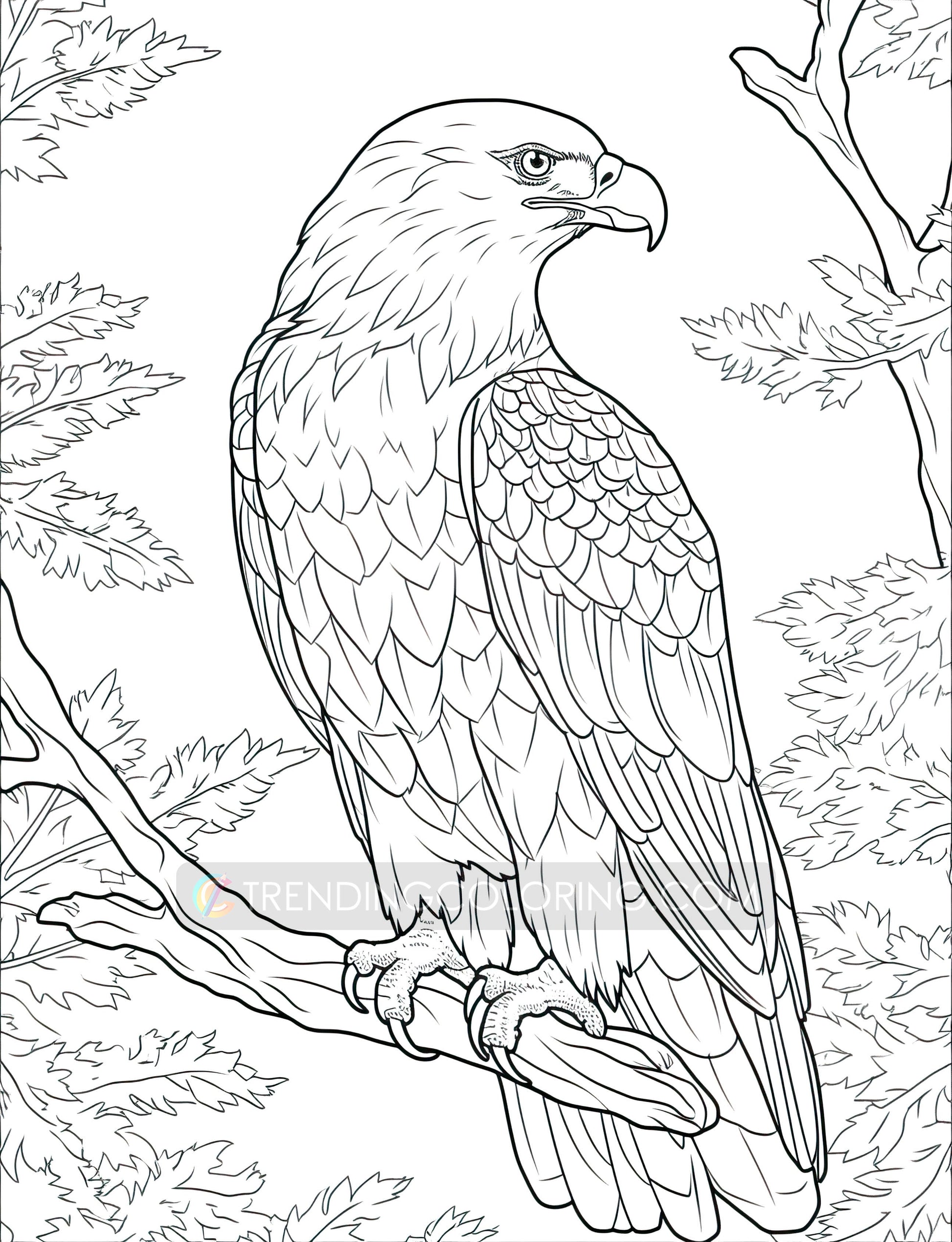 101 Amazing Animal Coloring Pages - Instant Download - Printable – preview 8