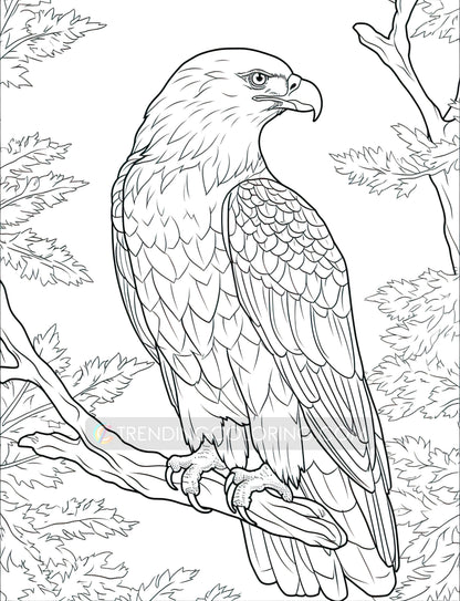 101 Amazing Animal Coloring Pages - Instant Download - Printable – preview 8
