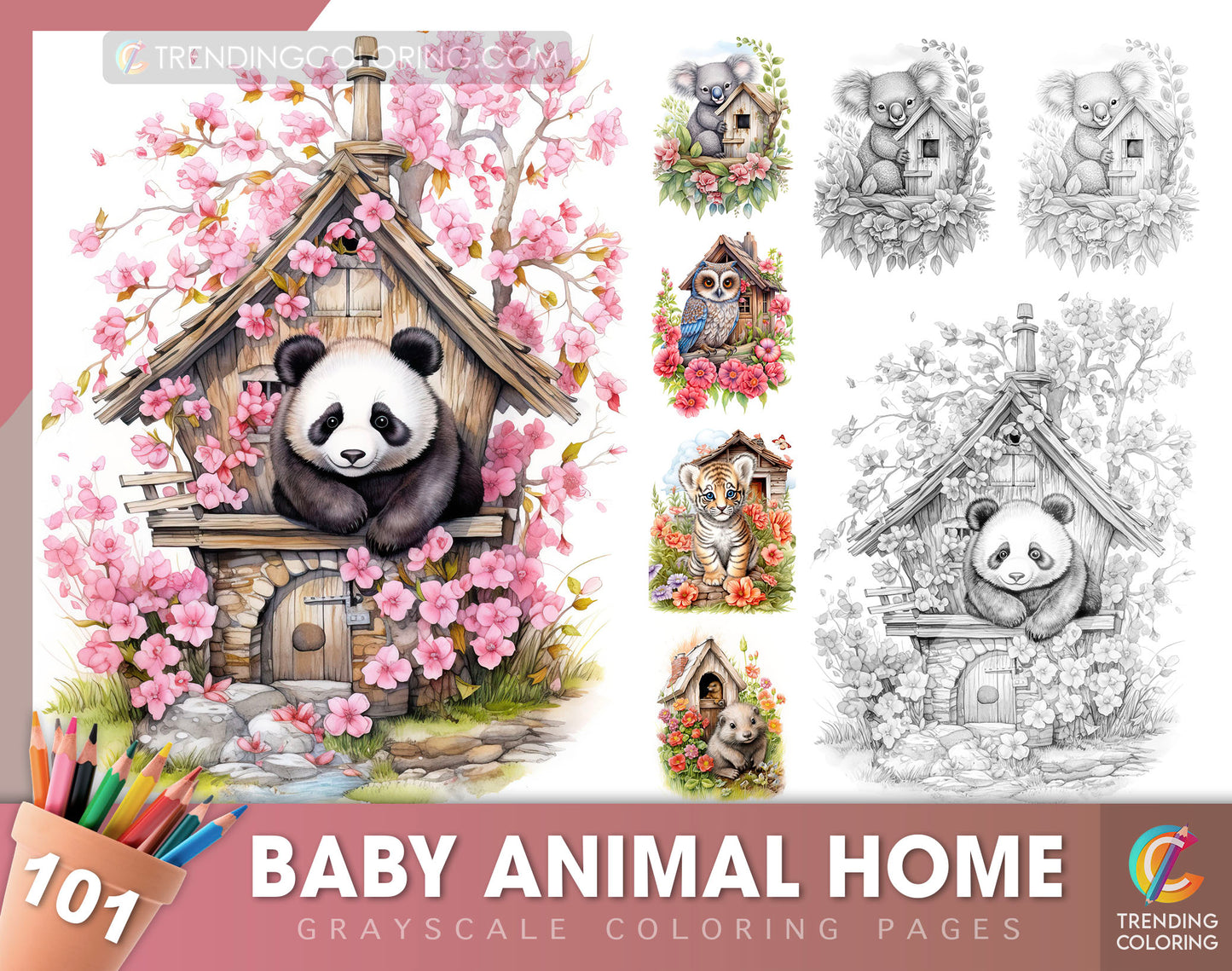 101 Baby Animal Home Grayscale Coloring Pages - Instant Download - Printable - Dark/Light