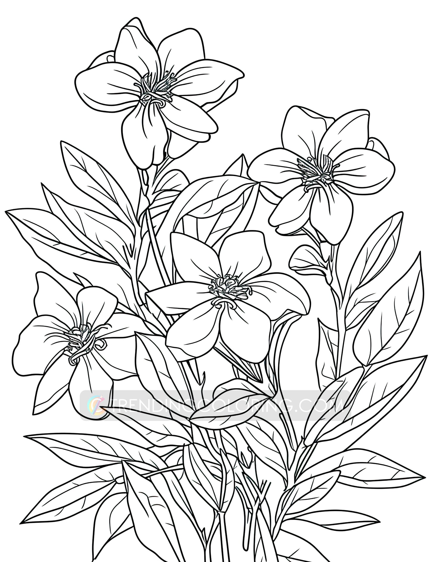 101 Floral Charm Coloring Pages - Instant Download - Printable – preview 10