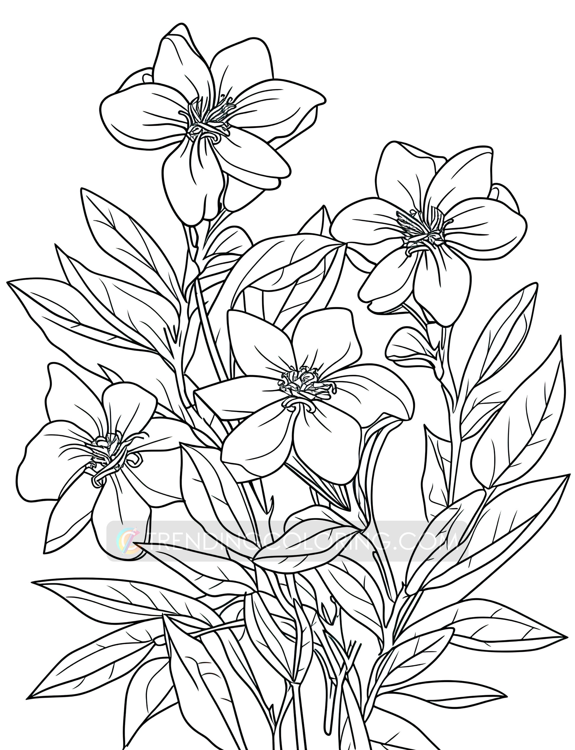 101 Floral Charm Coloring Pages - Instant Download - Printable – preview 10