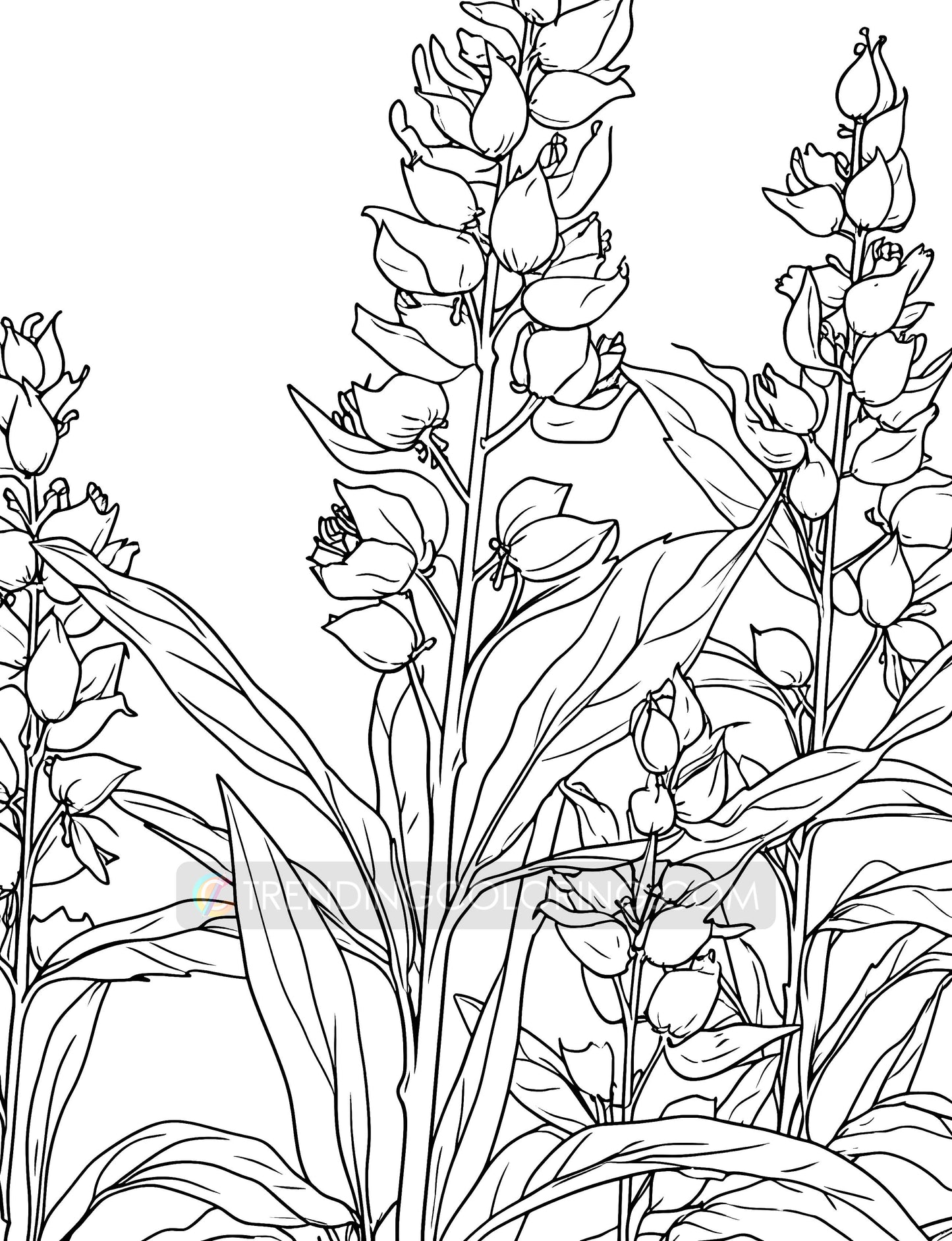 101 Floral Charm Coloring Pages - Instant Download - Printable – preview 12