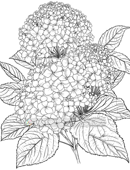 101 Floral Charm Coloring Pages - Instant Download - Printable – preview 8