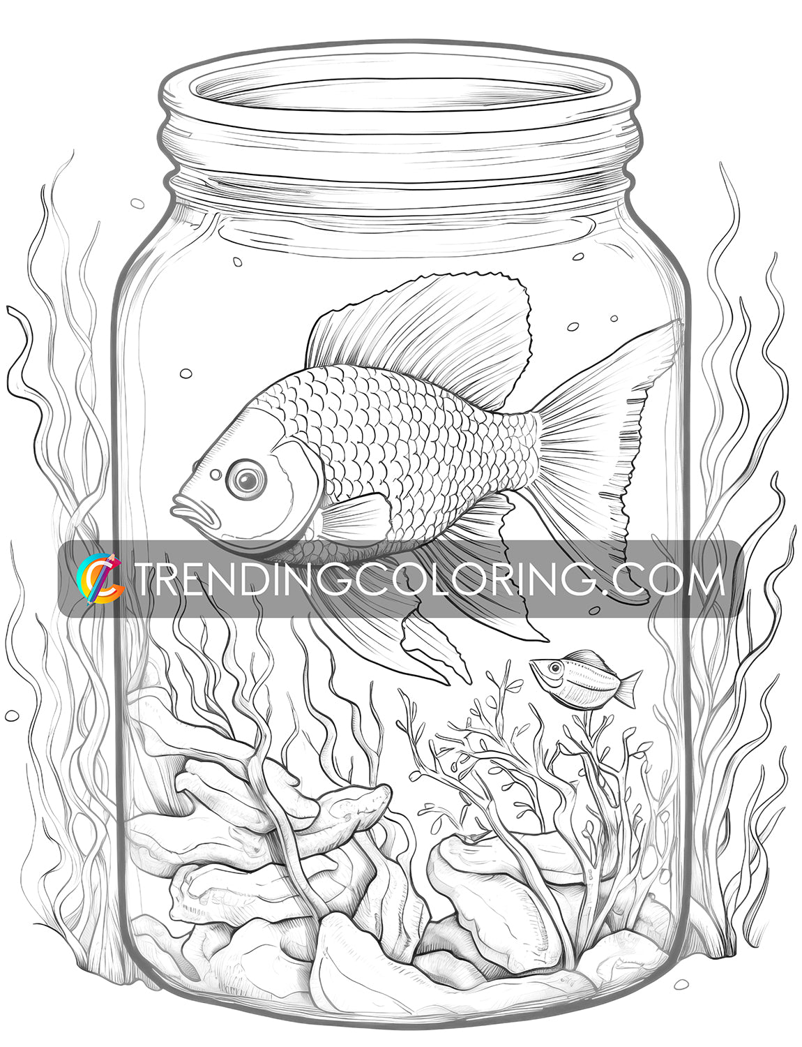25 Ocean In Jar Grayscale Coloring Pages - Instant Download - Printable PDF Dark/Light
