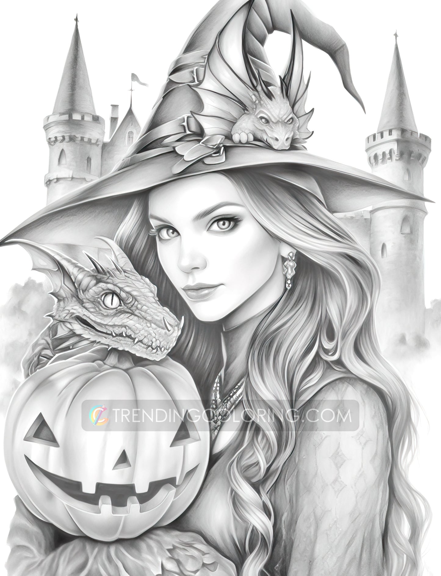 25 Halloween Witches Grayscale Coloring Pages - Halloween Coloring - Instant Download - Printable PDF Dark/Light