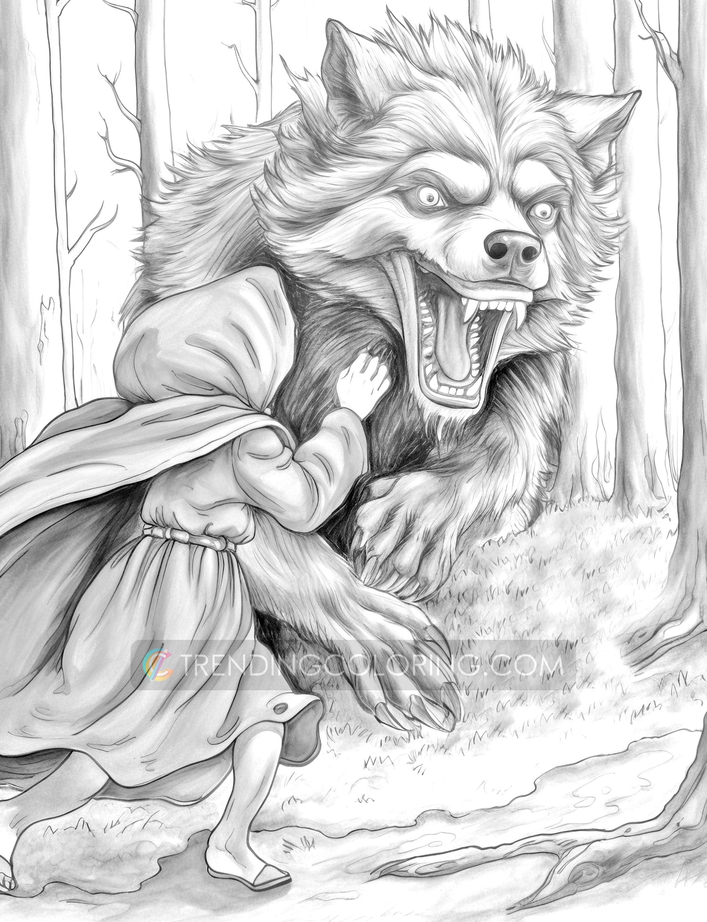 25 Red Riding Hood's Journey Grayscale Coloring Pages - Instant Download - Printable PDF Dark/Light