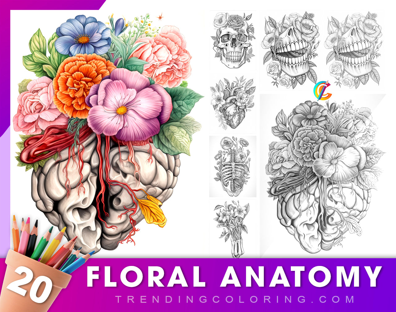 20 Floral Anatomy Grayscale Coloring Pages - Instant Download - Printable Dark/Light