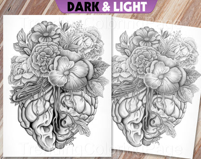 20 Floral Anatomy Grayscale Coloring Pages - Instant Download - Printable PDF Dark/Light – preview 2