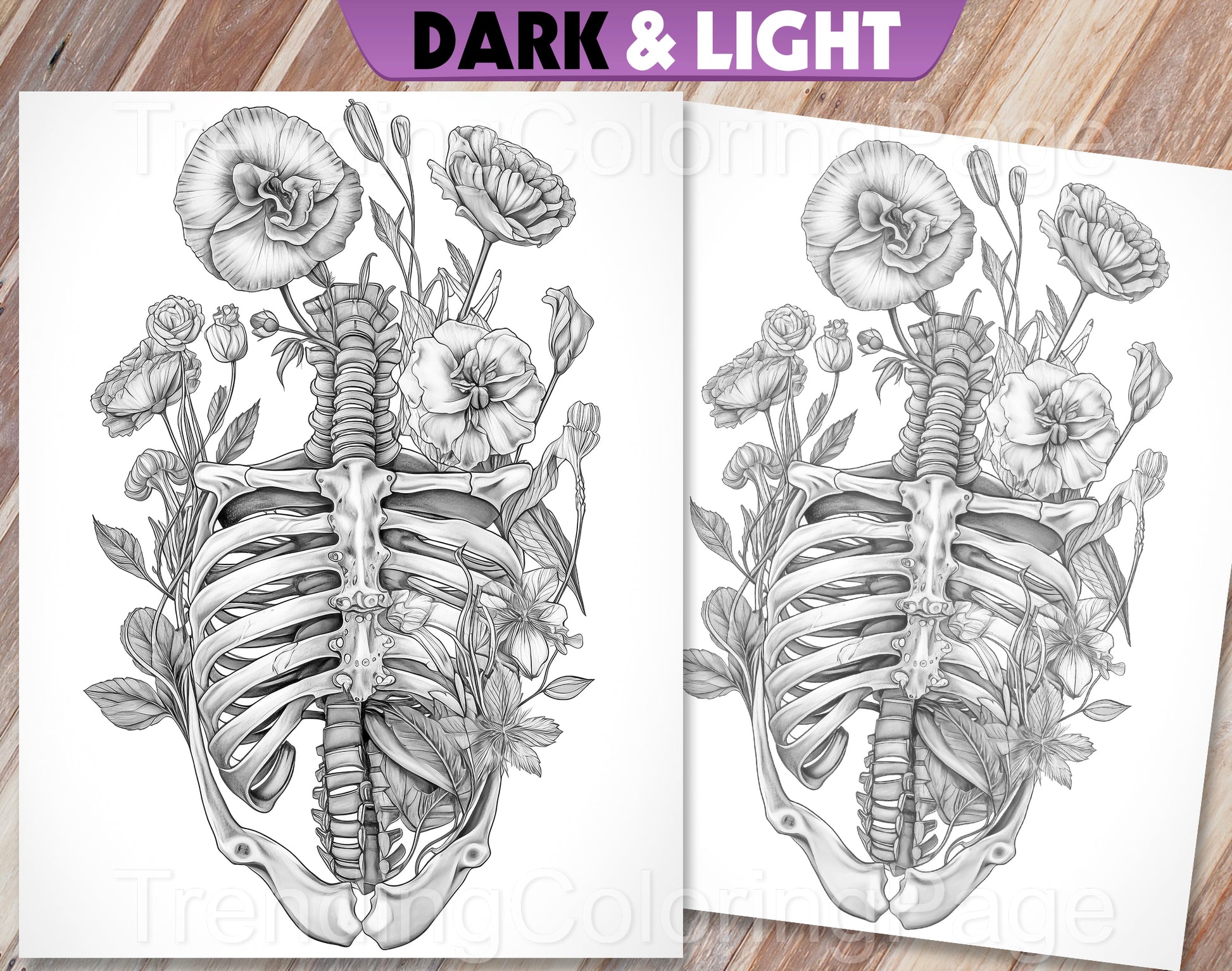 20 Floral Anatomy Grayscale Coloring Pages - Instant Download - Printable PDF Dark/Light – preview 3