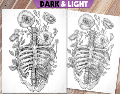 20 Floral Anatomy Grayscale Coloring Pages - Instant Download - Printable PDF Dark/Light – preview 3