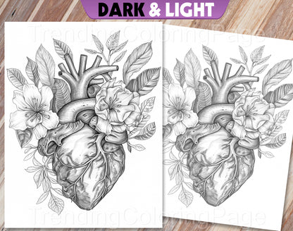 20 Floral Anatomy Grayscale Coloring Pages - Instant Download - Printable PDF Dark/Light – preview 4