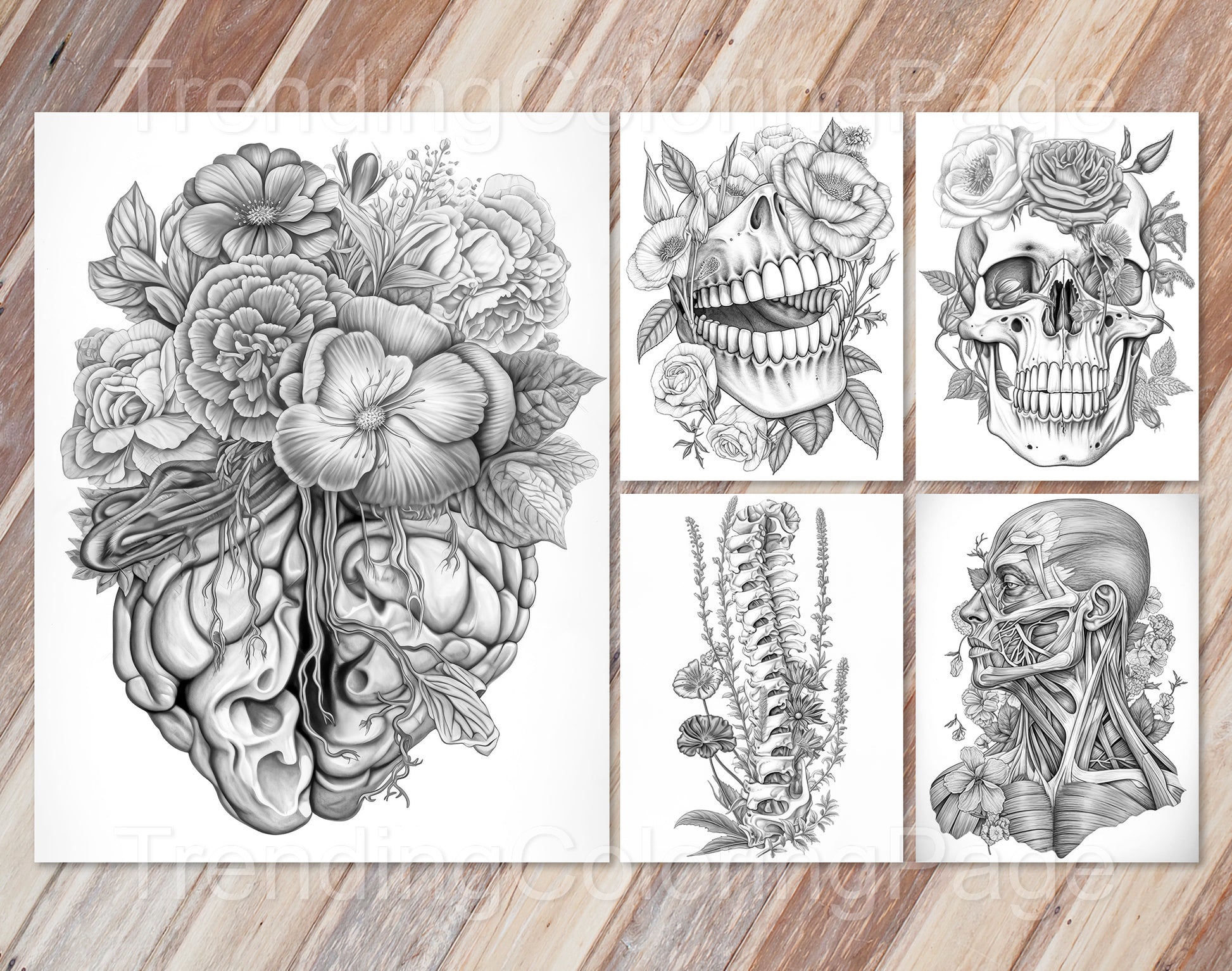 20 Floral Anatomy Grayscale Coloring Pages - Instant Download - Printable PDF Dark/Light – preview 5
