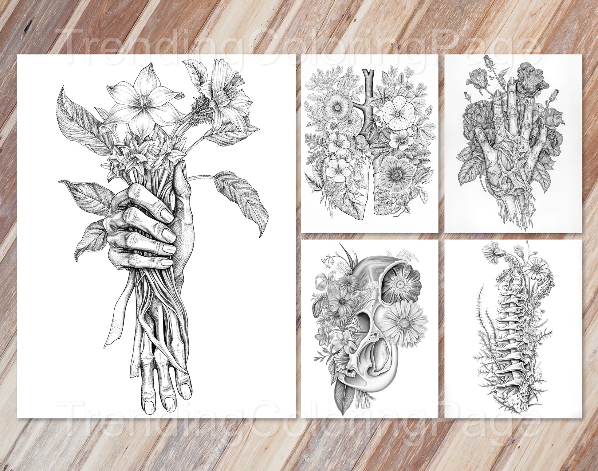 20 Floral Anatomy Grayscale Coloring Pages - Instant Download - Printable PDF Dark/Light – preview 7