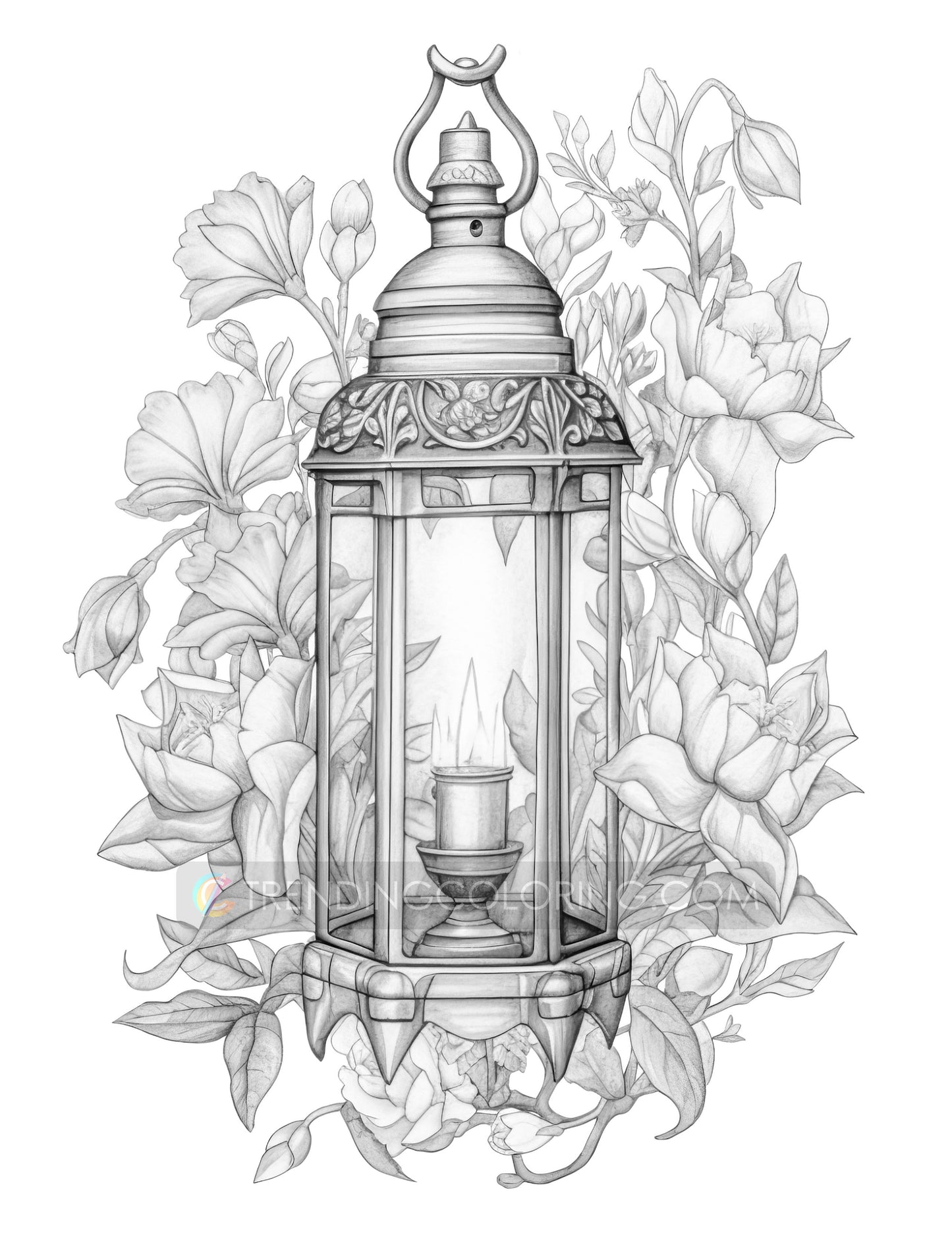 25 Cottagecore Lanterns Grayscale Coloring Pages - Instant Download - Printable PDF Dark/Light