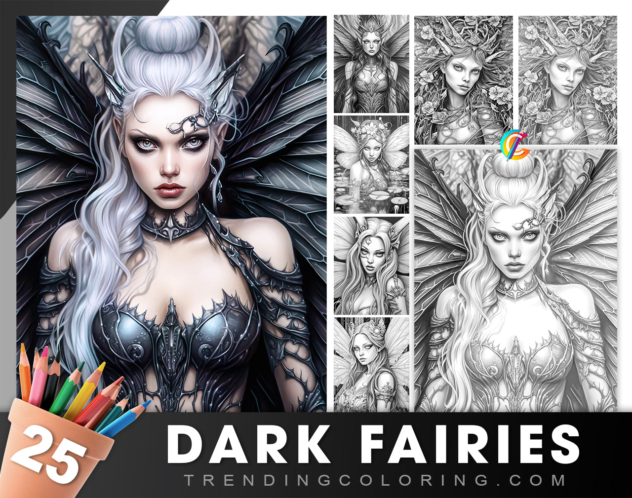 25 Dark Fairies Grayscale Coloring Pages- Instant Download - Printable PDF