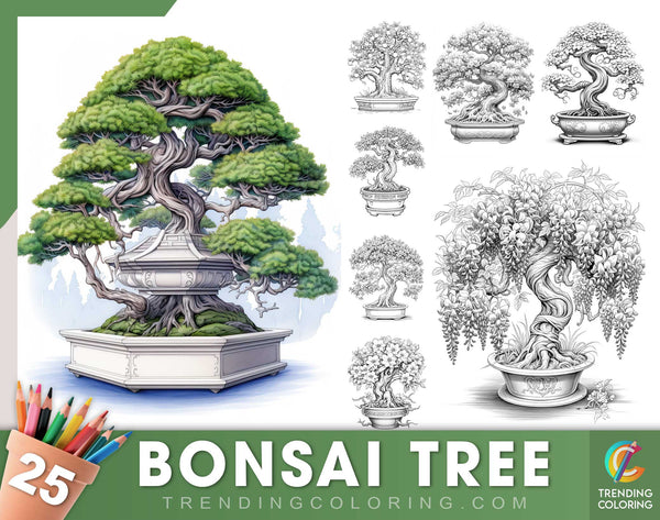 25 Bonsai Tree Grayscale Coloring Pages - Instant Download - Printable Dark/Light PDF