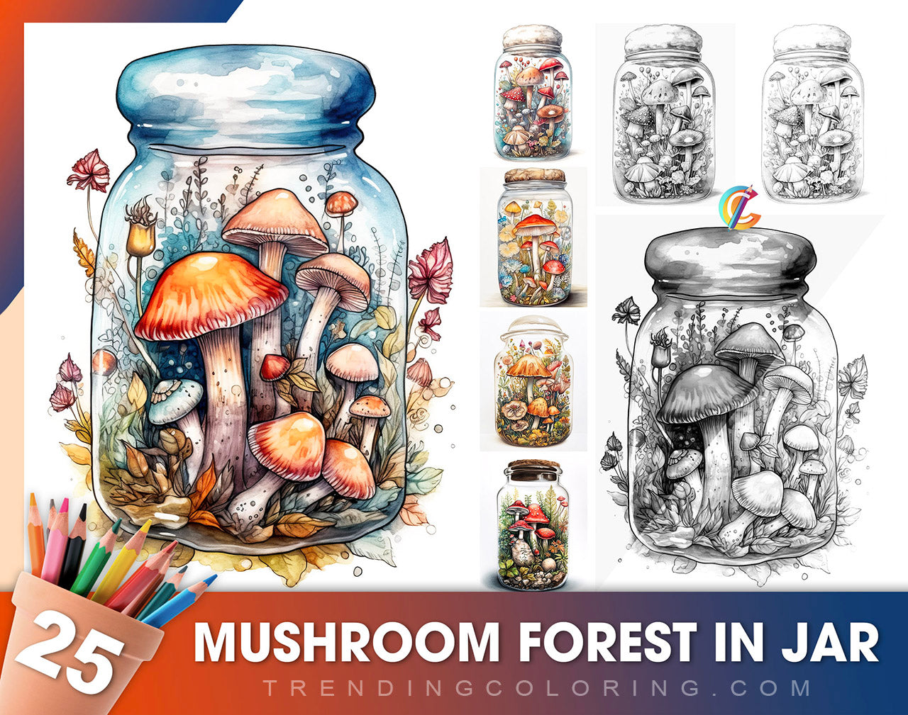 25 Mushroom Forest In Jar Grayscale Coloring Pages - Instant Download - Printable PDF Dark/Light