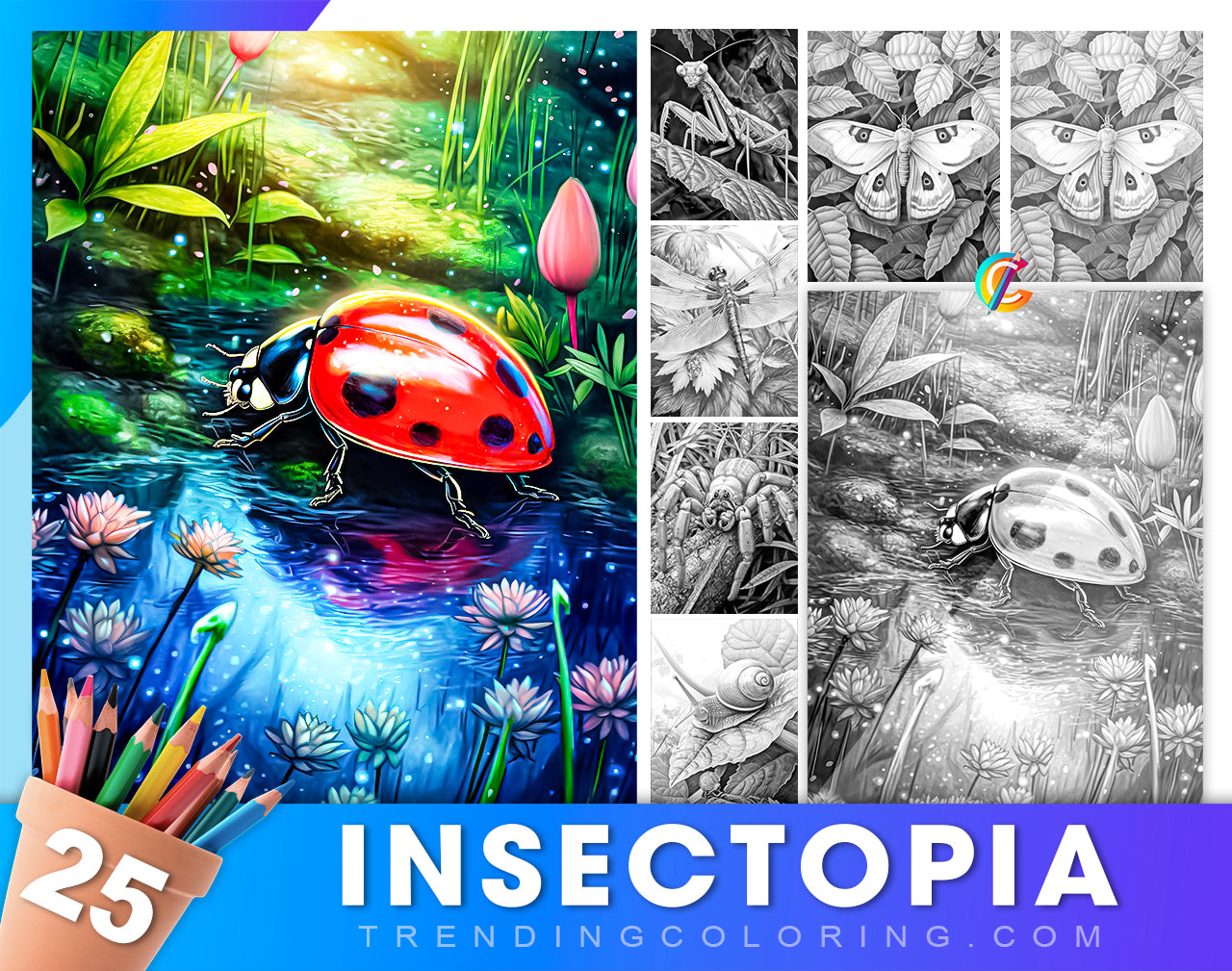 25 Insectopia Grayscale Coloring Pages  - Instant Download - Printable PDF Dark/Light
