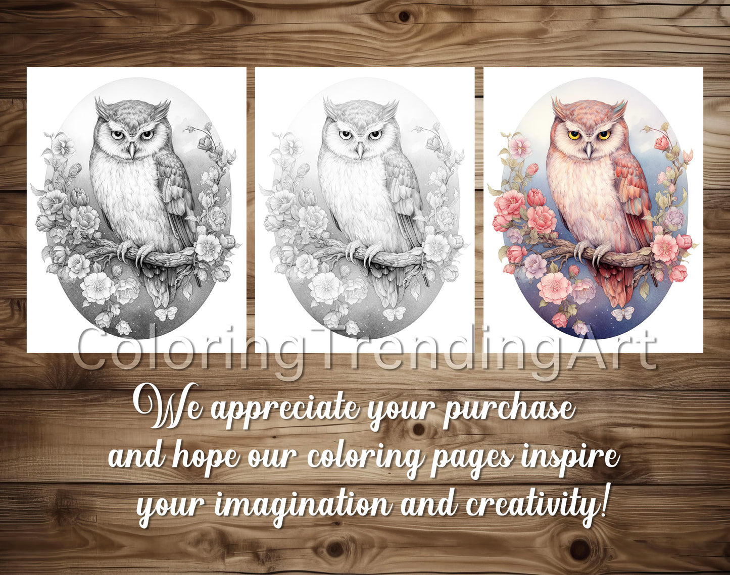 25 Adorable Flower Owls Grayscale Coloring Pages, Instant Download, Printable PDF Dark/Light – preview 5