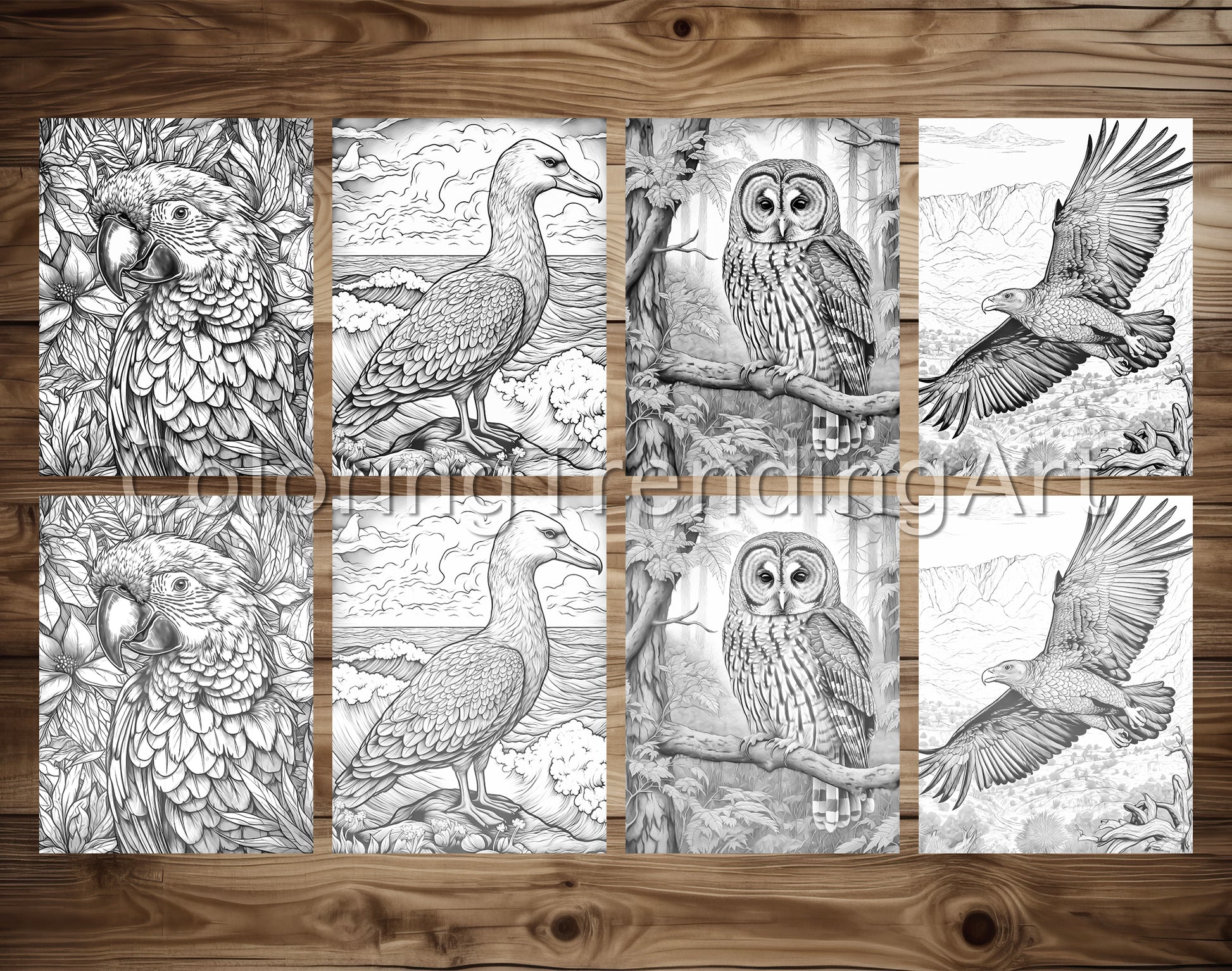 25 Amazing Birds Grayscale Coloring Pages - Instant Download - Printable PDF – preview 3