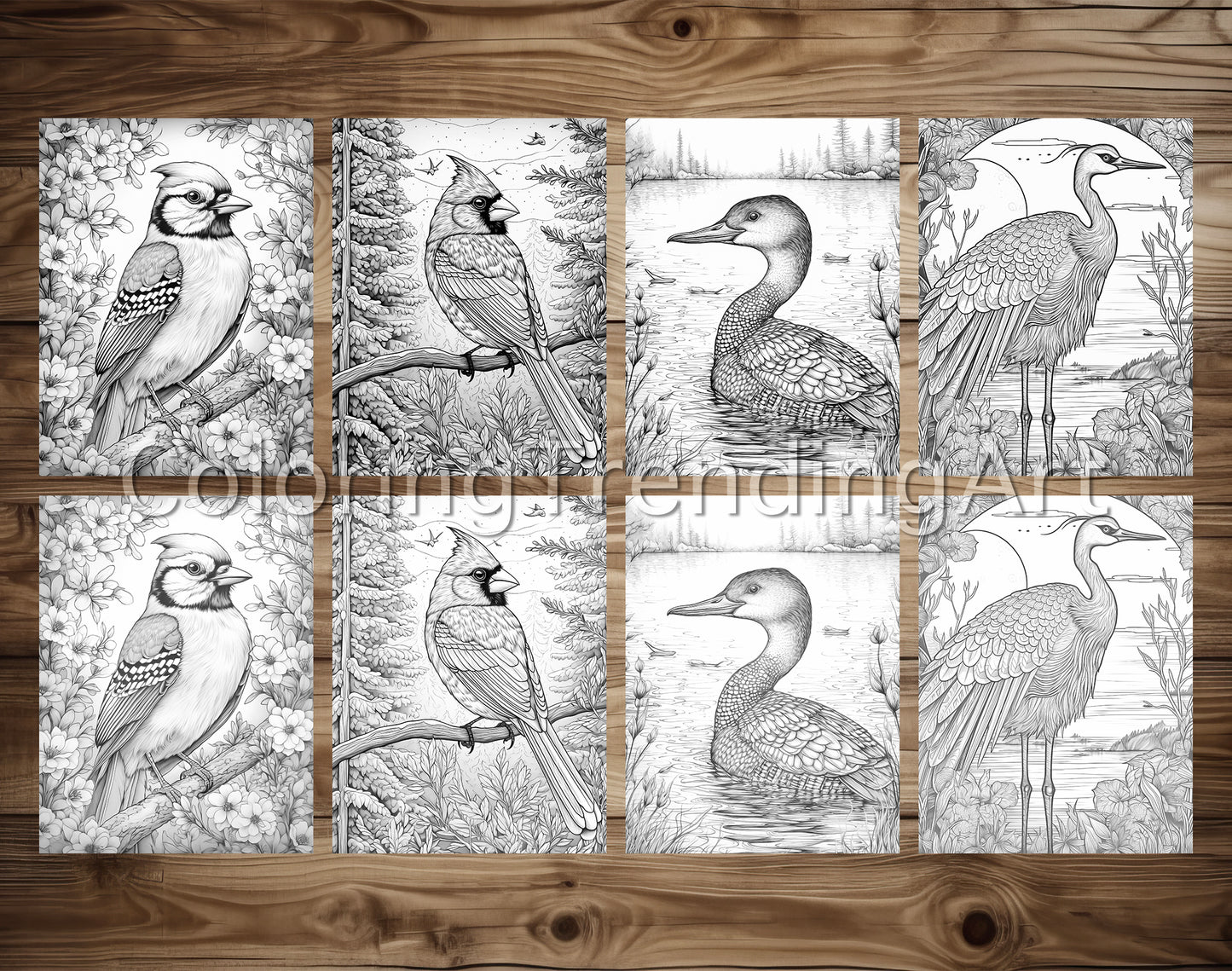 25 Amazing Birds Grayscale Coloring Pages - Instant Download - Printable PDF – preview 4