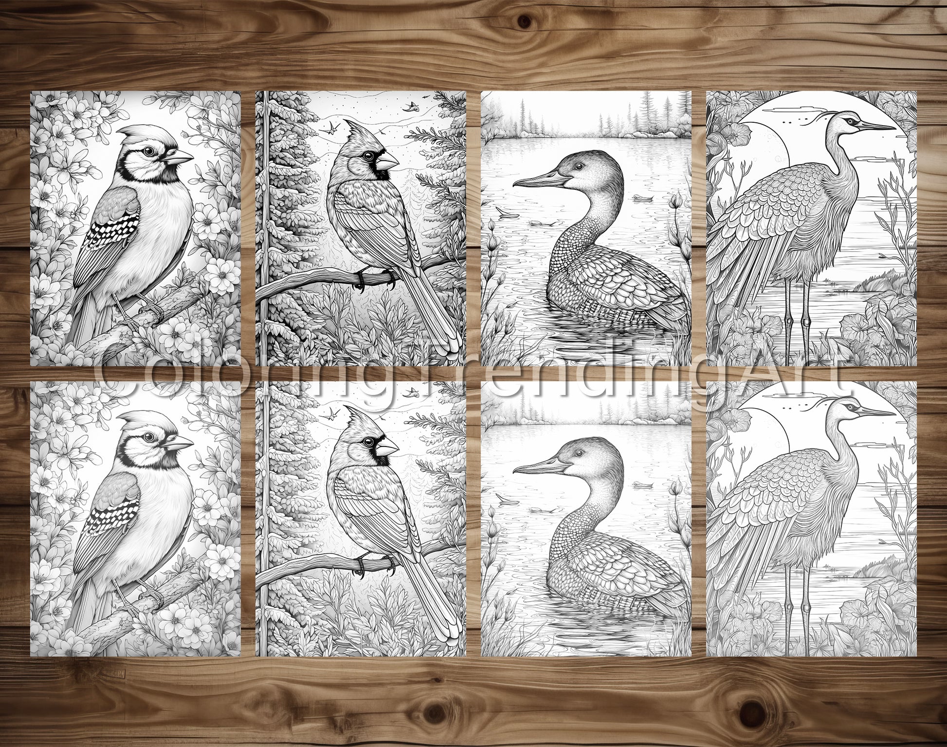 25 Amazing Birds Grayscale Coloring Pages - Instant Download - Printable PDF – preview 4