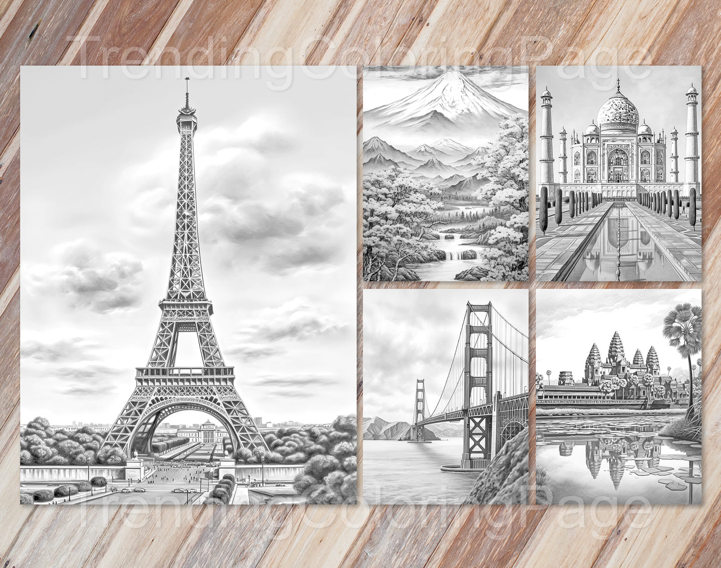 25 Around The World Grayscale Coloring Pages - Instant Download - Printable PDF Dark/Light – preview 3