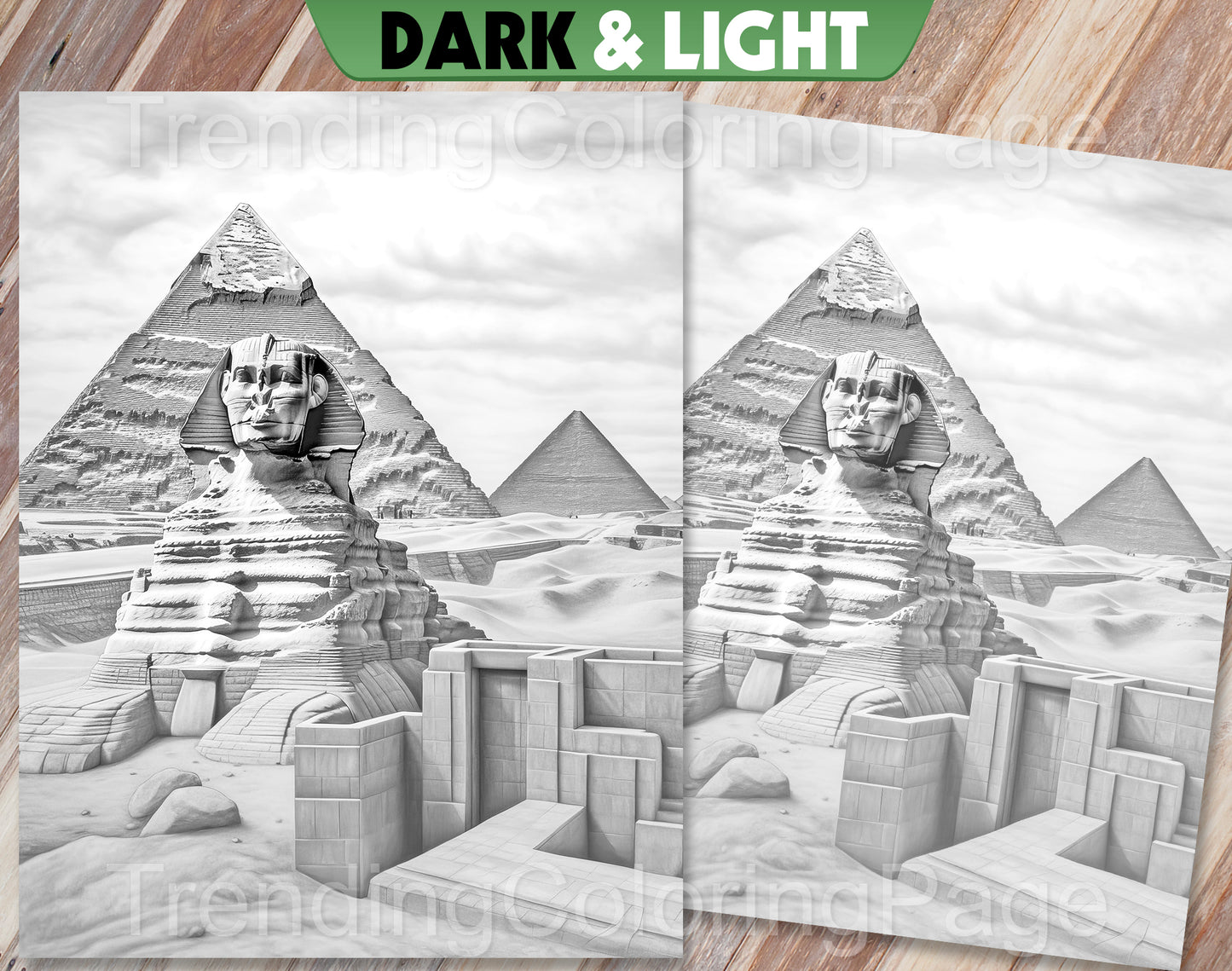 25 Around The World Grayscale Coloring Pages - Instant Download - Printable PDF Dark/Light – preview 8