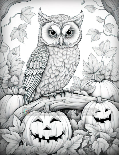 25 Autumn Animal Grayscale Coloring Pages - Instant Download - Printable PDF Dark/Light – preview 6