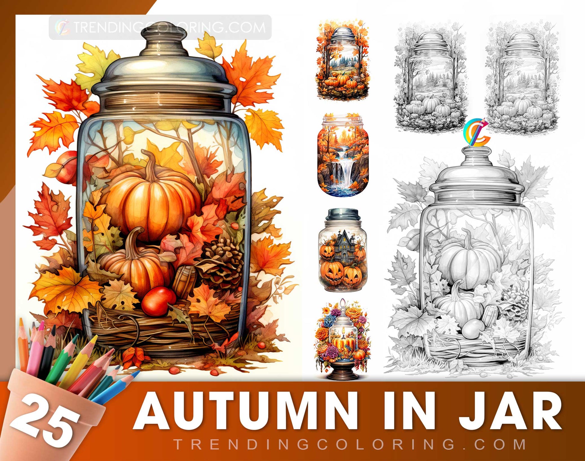 25 Autumn In Jar Grayscale Coloring Pages - Instant Download - Printable PDF Dark/Light