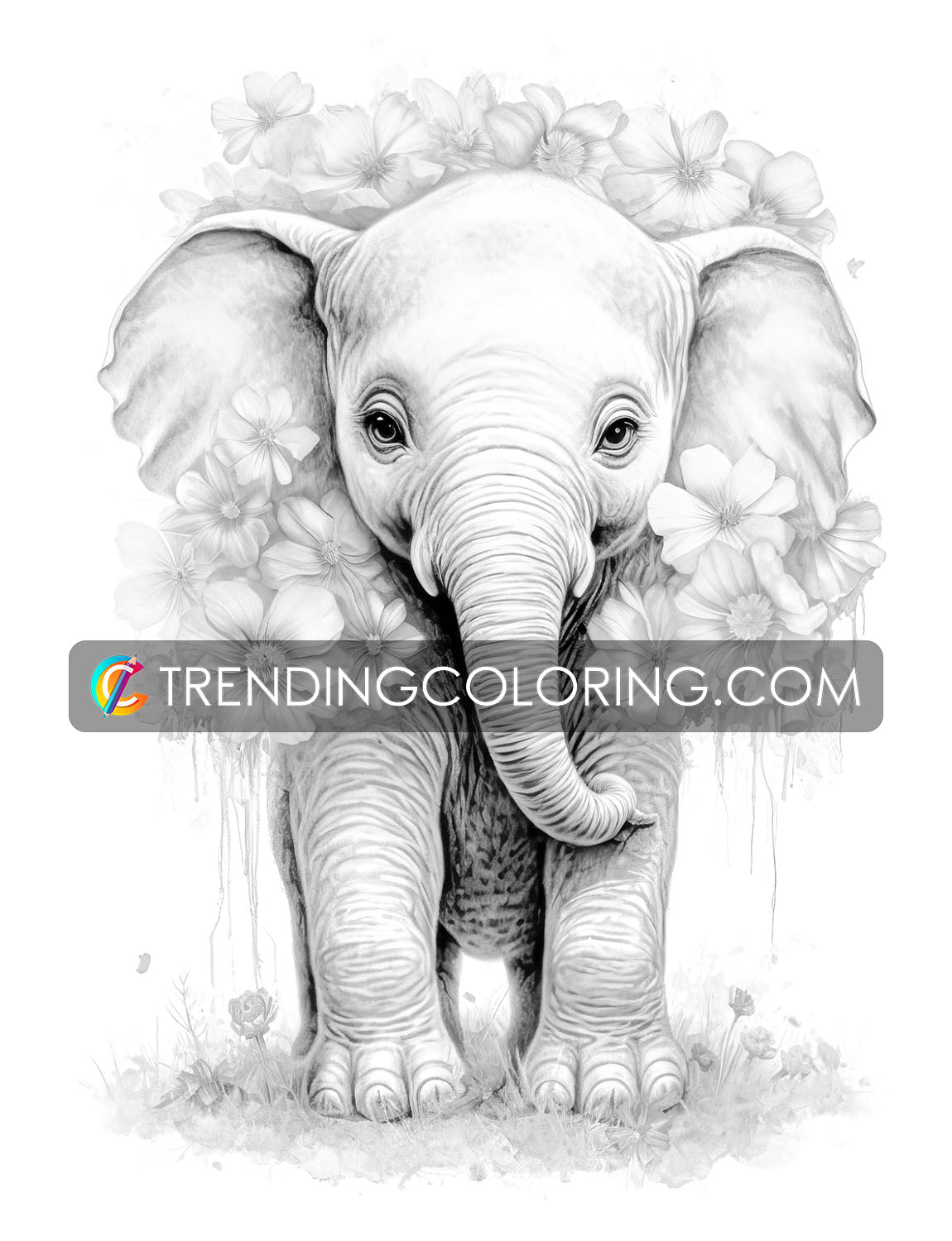 25 Baby Cute Animal Grayscale Coloring Pages - Instant Download - Printable PDF – preview 10