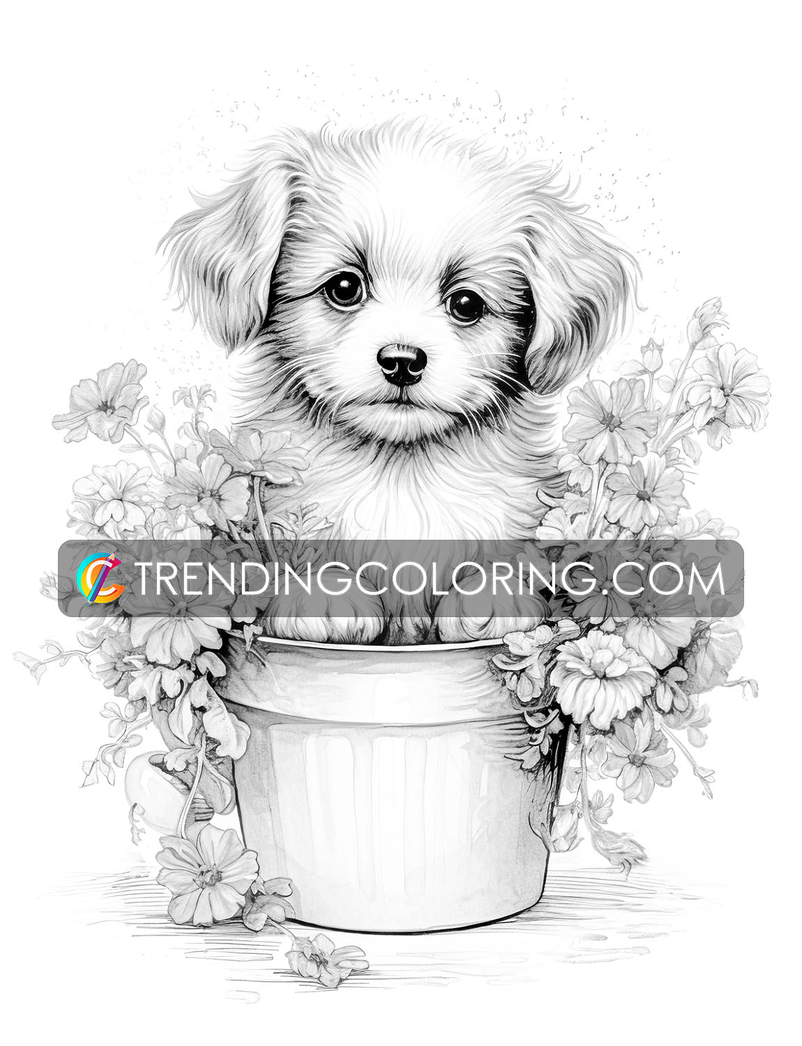 25 Baby Cute Animal Grayscale Coloring Pages - Instant Download - Printable PDF – preview 8