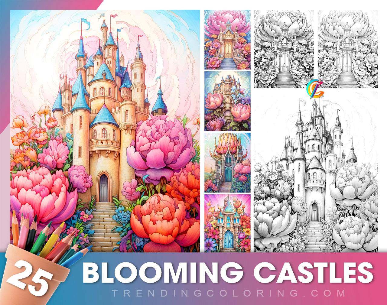 25 Blooming Castles Grayscale Coloring Pages - Instant Download - Printable PDF